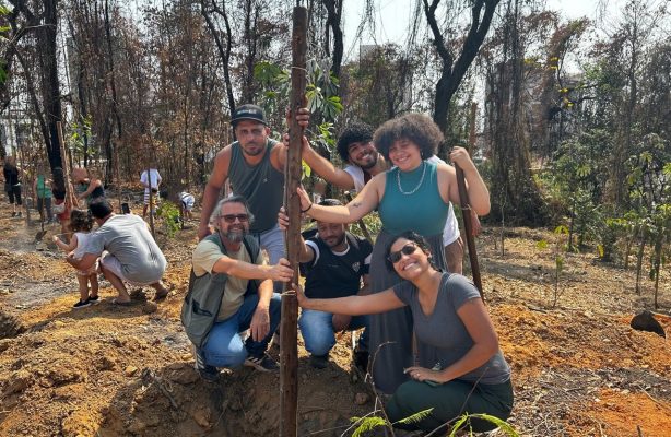 thumbnail de AVSI Brasil e comunidade presentes na ação de plantio de mudas da Prefeitura de Belo Horizonte